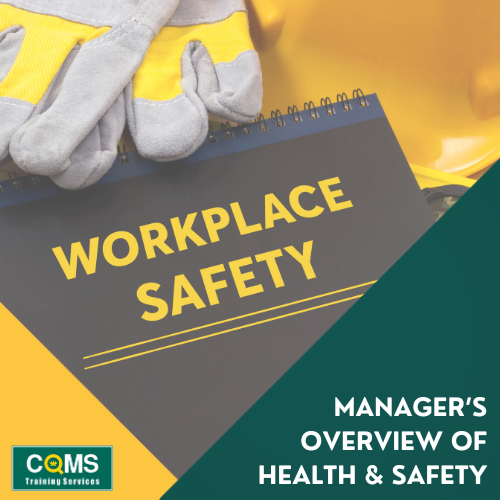 Manager's Overview of Health and Safety Online Training Course