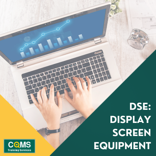 DSE: Display Screen Equipment Online Training Course