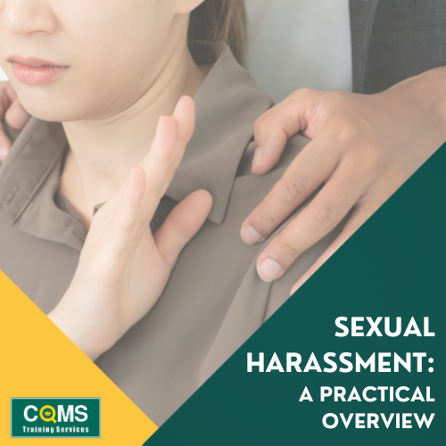 Sexual Harassment: A Practical Overview Online Training Course